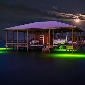 fish light, green light, green snook light, green dock light, canal light, green water light