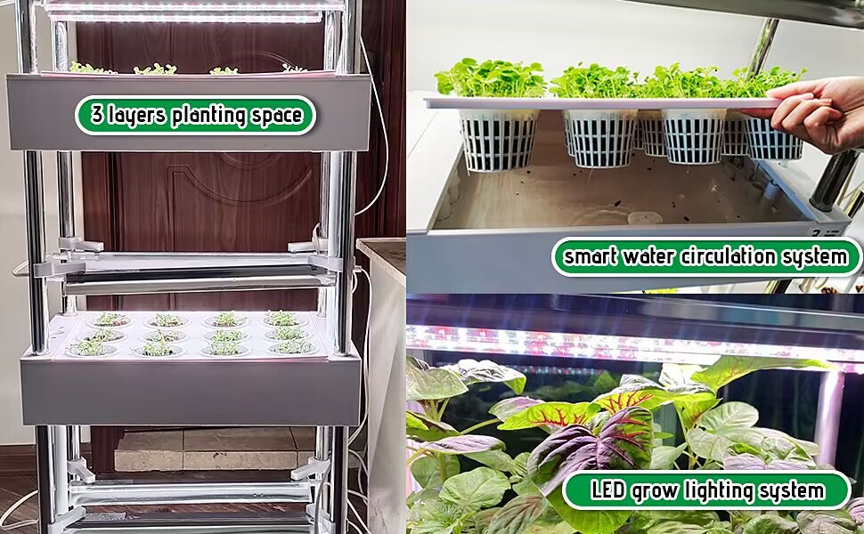 indoor vegetable growing system