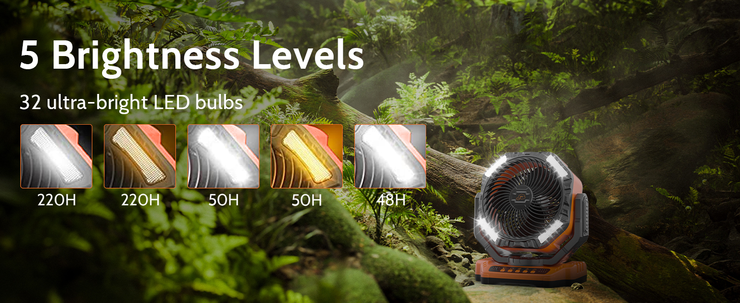 Fan With 5 Brightness Levels