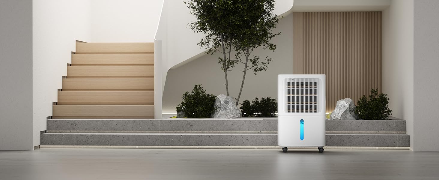 dehumidifier for basment