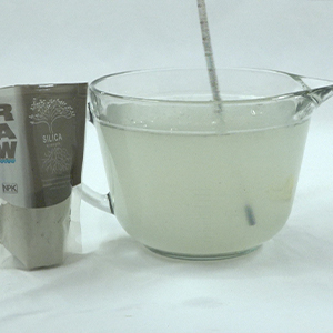 RAW Silica
