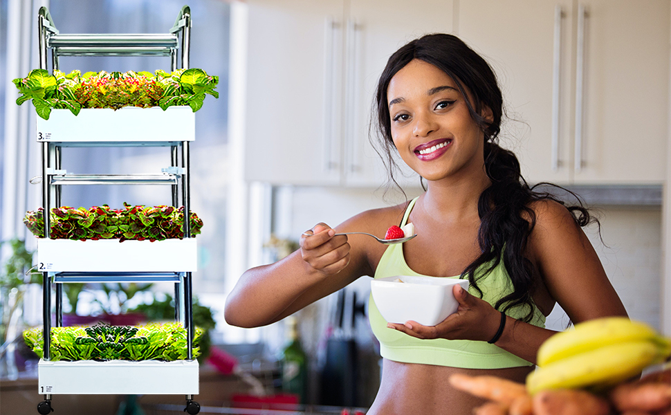 hydroponic tower garden