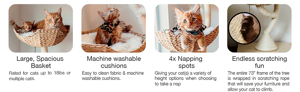 Modern cat scratching post tree
