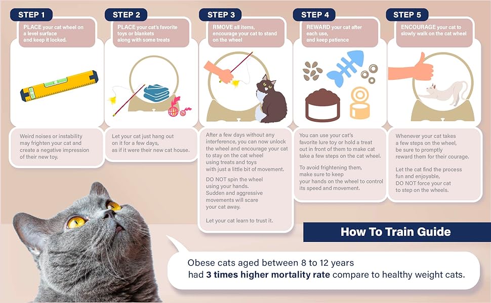 how to train cat
