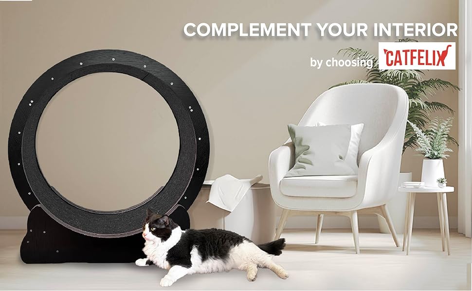 catwheel