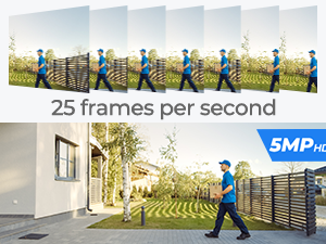 25 fps