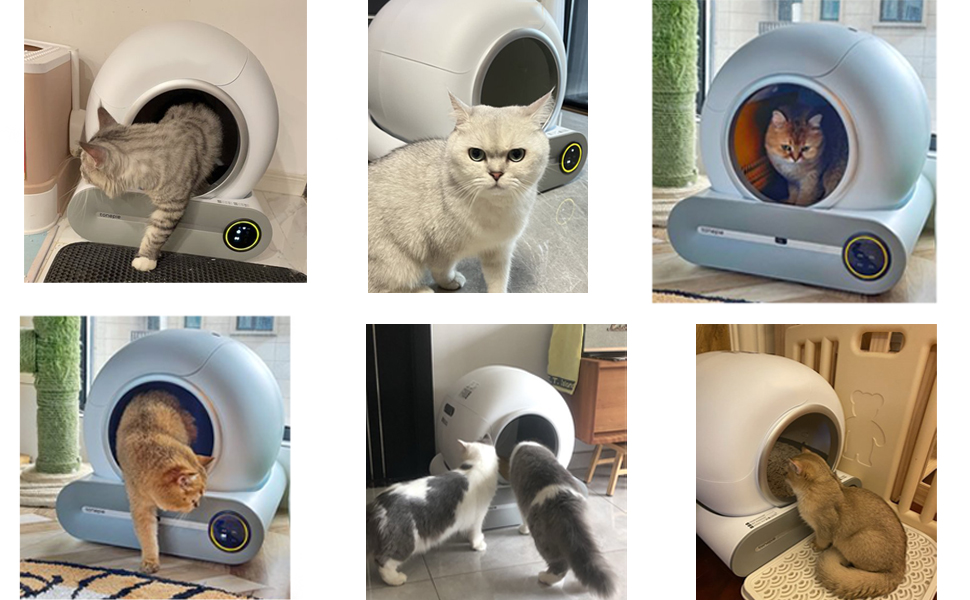 QraraZL Self-Cleaning Cat Litter Box
