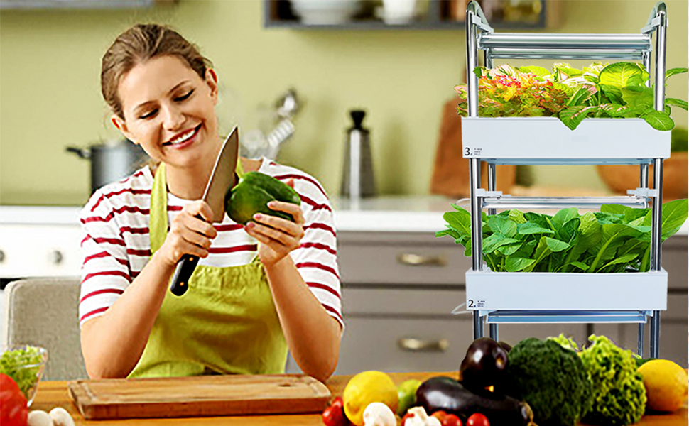 hydroponics growing system