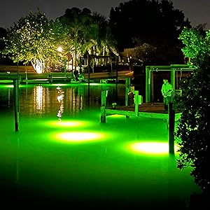 underwater lights, snook lights, extra bright, fish illumination