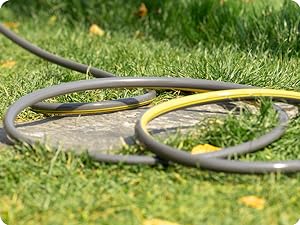 All-Weather Premium Hose