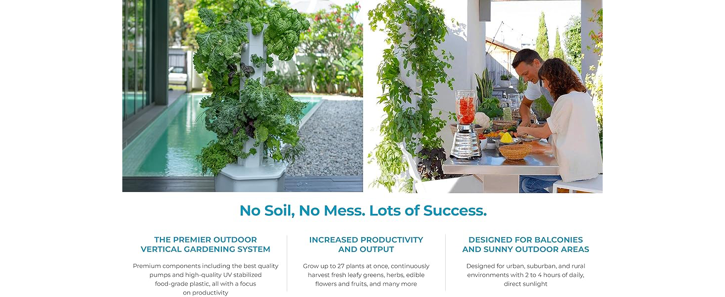 balcony soil thin inch organic earth tree harvest gifts tall green seeding tomatoes reservoir