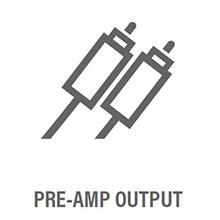 Pre-Amp Output