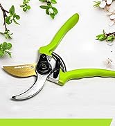 shears
