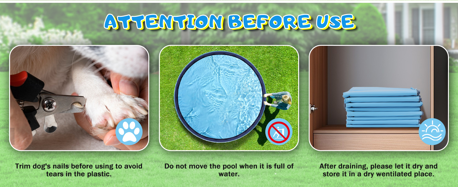 dog pool