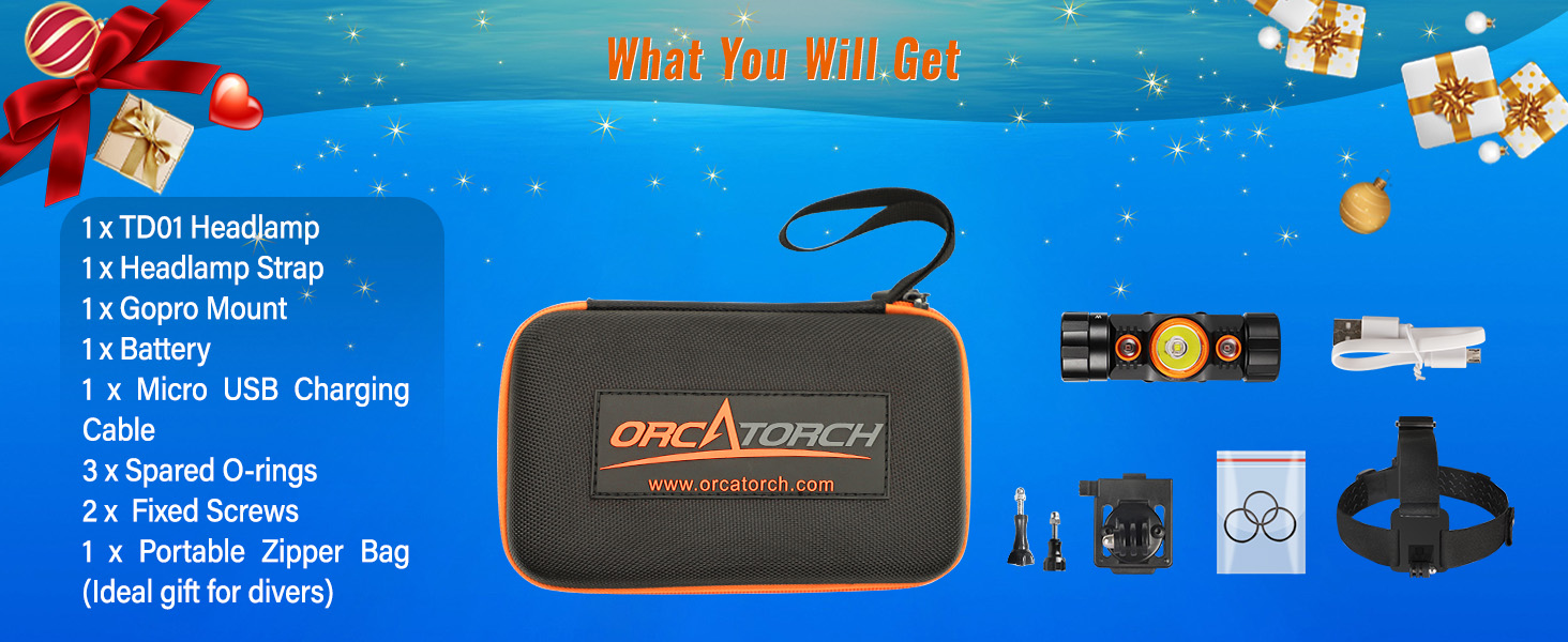 The head light base is compatible with many action cameras