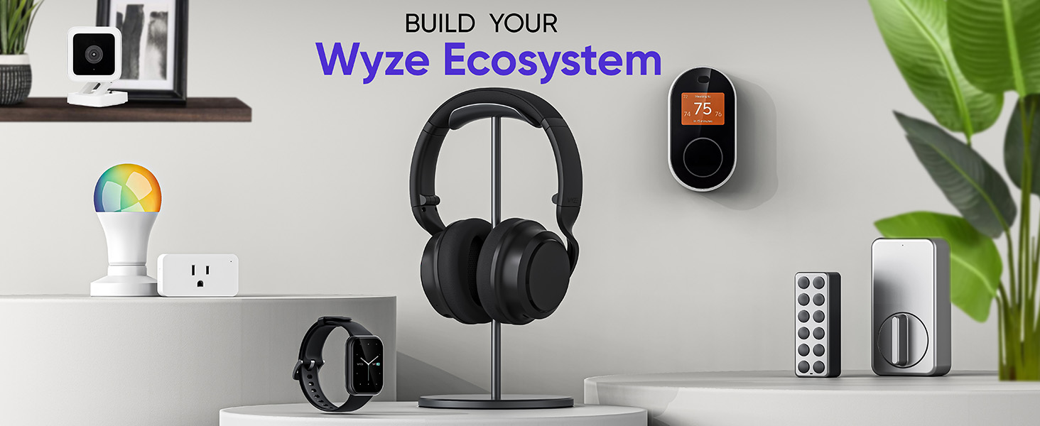 Ecosystem