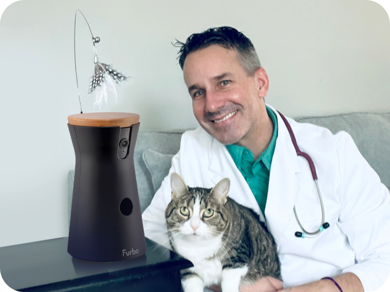 Vets $ cat behaviorists recommended