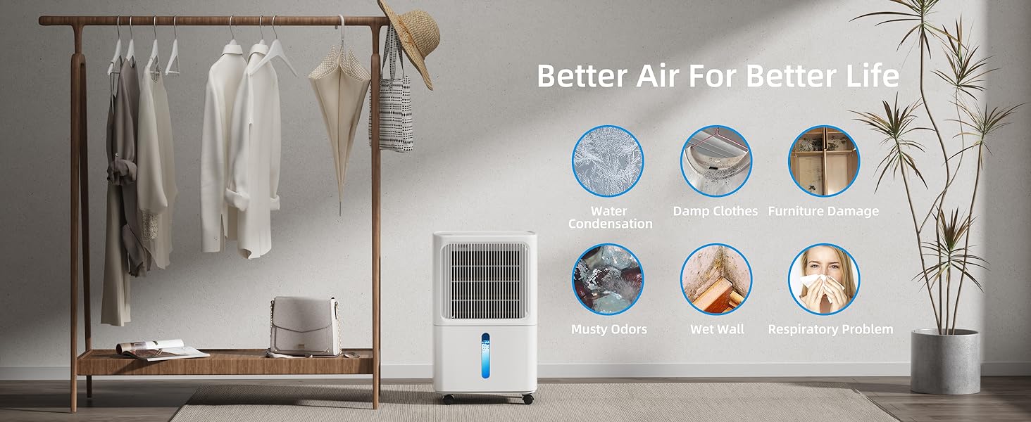 dehumidifiers for home