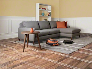 Roomba