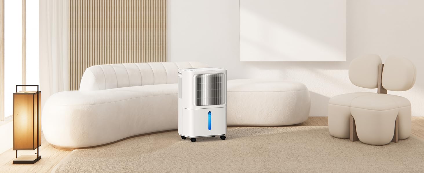 dehumidifier for large room
