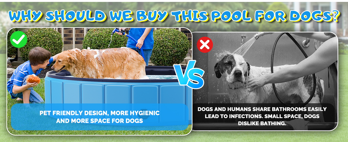 dog pool