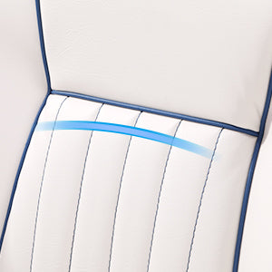 Lumbar Support