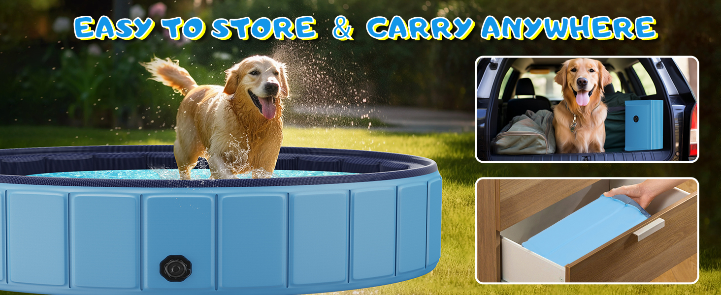 dog pool