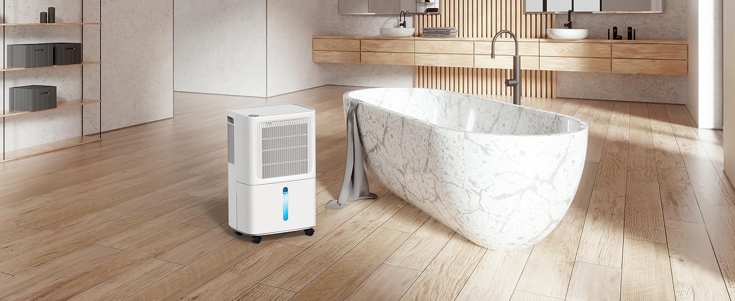 dehumidifier for bathroom