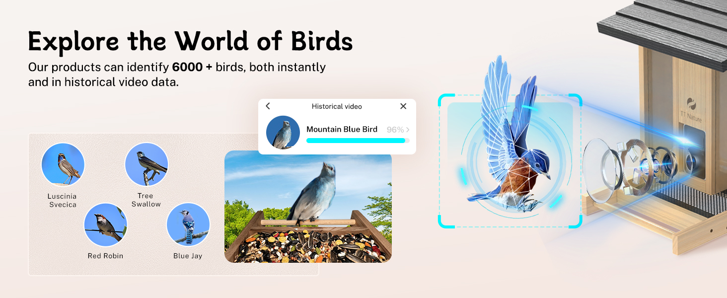 smart bird feeder with camera