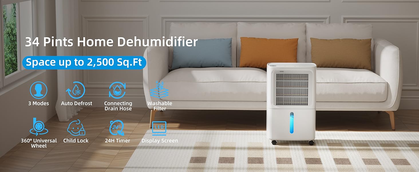 dehumidifier for basement