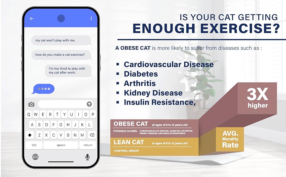 cat excercise
