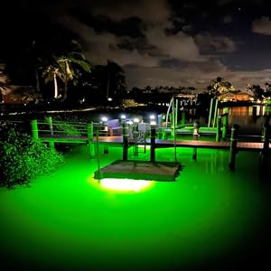 fish light, snook light, green dock light, canal lights